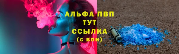 тгк Магас