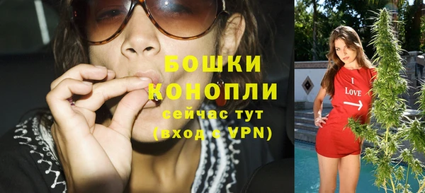 гашик Майский