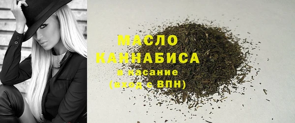 гашик Майский