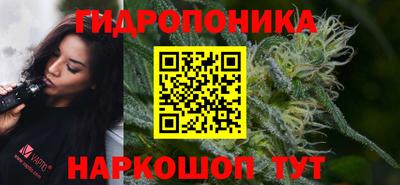 дурь Волжский