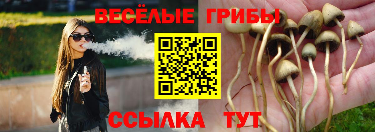 Гуково  Галлюциногенные грибы Magic Shrooms  Вход с VPN 