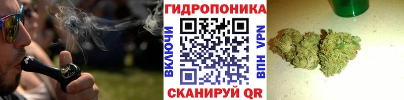 Конопля план  Гуково 